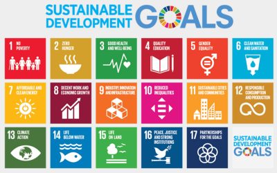 CELA is a signatory of the UN Global Compact!